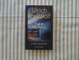 Ulrich Knellwolf - Tod in Sils Maria - 17 üble Gesch. - B564