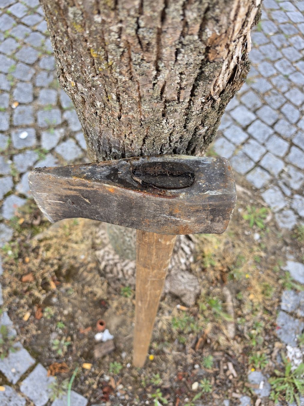 Tutti gli attrezzi: Beil mit Holzstiel gebraucht – Usato da Mettlen venduto da elios0888 2