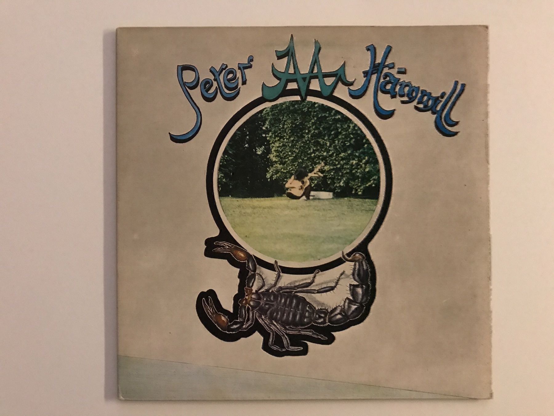 Dischi in vinile: Peter Hammill LP – Usato da Gutenswil venduto da Hamzian