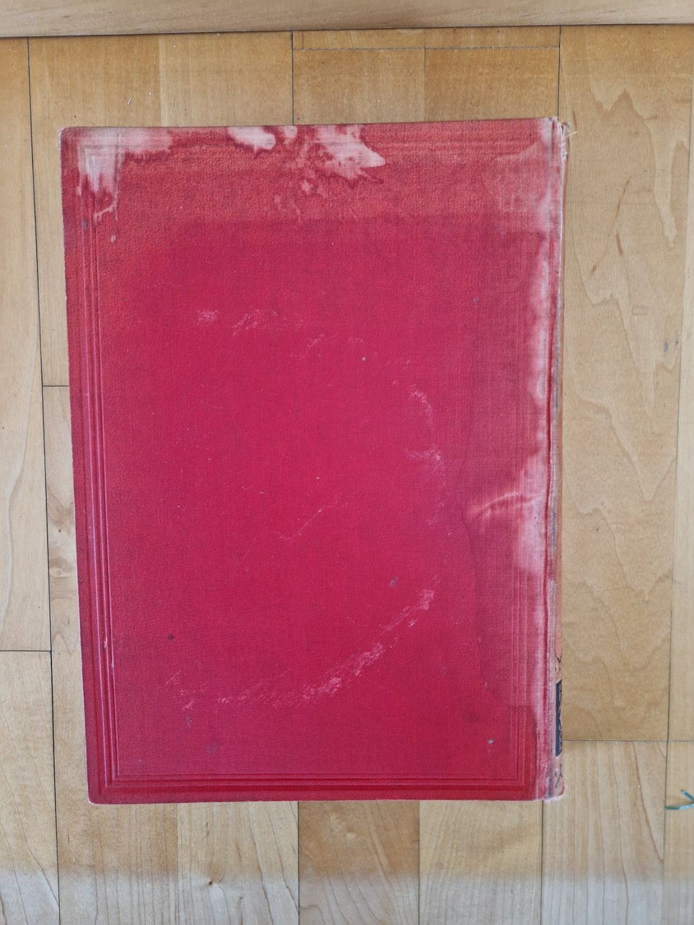 Libri: Antiker Bildband: "Durch Central-Asien" von 1888 – Usato da Wallisellen venduto da soat 4