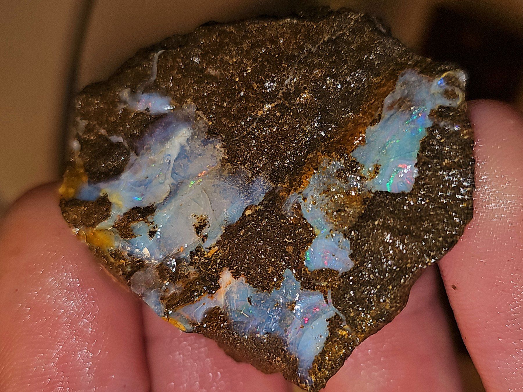 Pietre preziose: Grosser Australischer Boulderopal Rohstein – Nuovo e nell'imballaggio originale da Uerkheim venduto da Winwinner 1