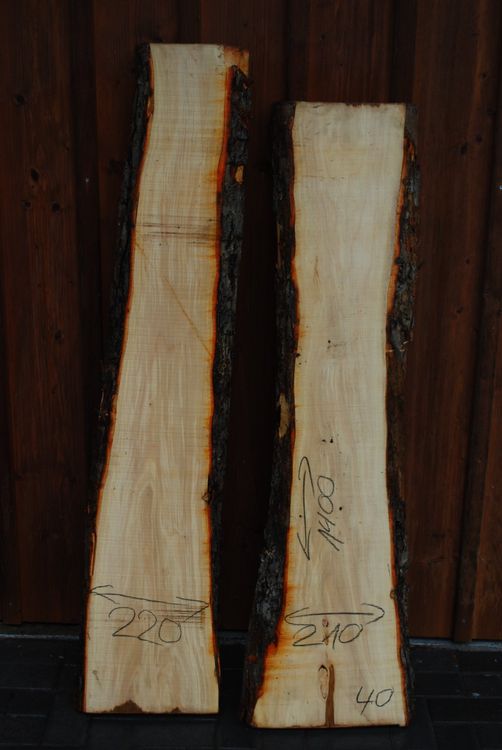 Articoli in legno: Apfelholzbretter Nr. 1 / 40mm – Nuovo (secondo la descrizione) da Waldkirch venduto da bauprofi87