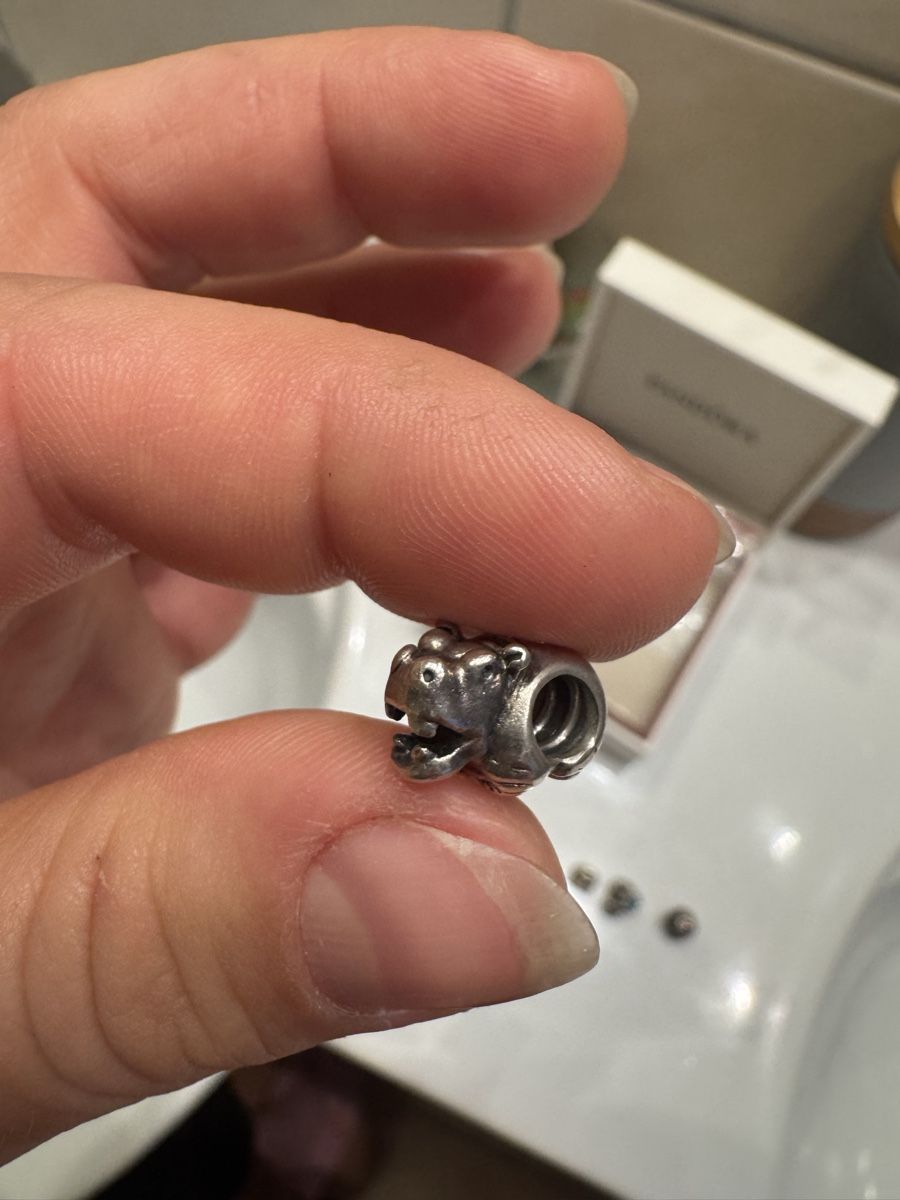 Pandora Anhänger: Pandora Charms  – Neu (gemäss Beschreibung) aus Bottenwil von NadjaP. 4