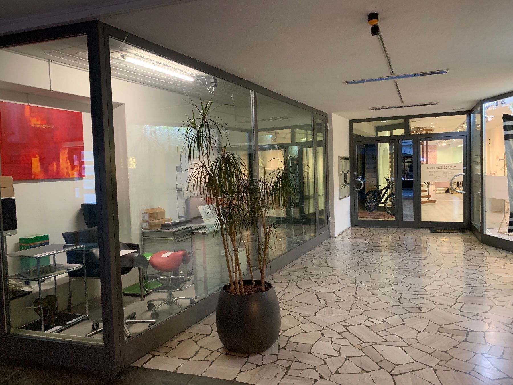 Vasi per fiori: Grosse Olivenbaum  Lieferung Gratis Ganze Schweiz – Usato da Thun venduto da Thuno6 2