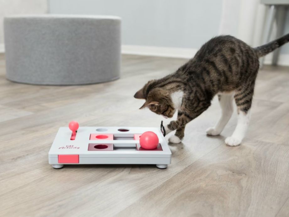 Trixie Giocattoli: Trixie Cat Activity Brain Mover Strategiespiel – Usato da Birr venduto da Jamonline 3