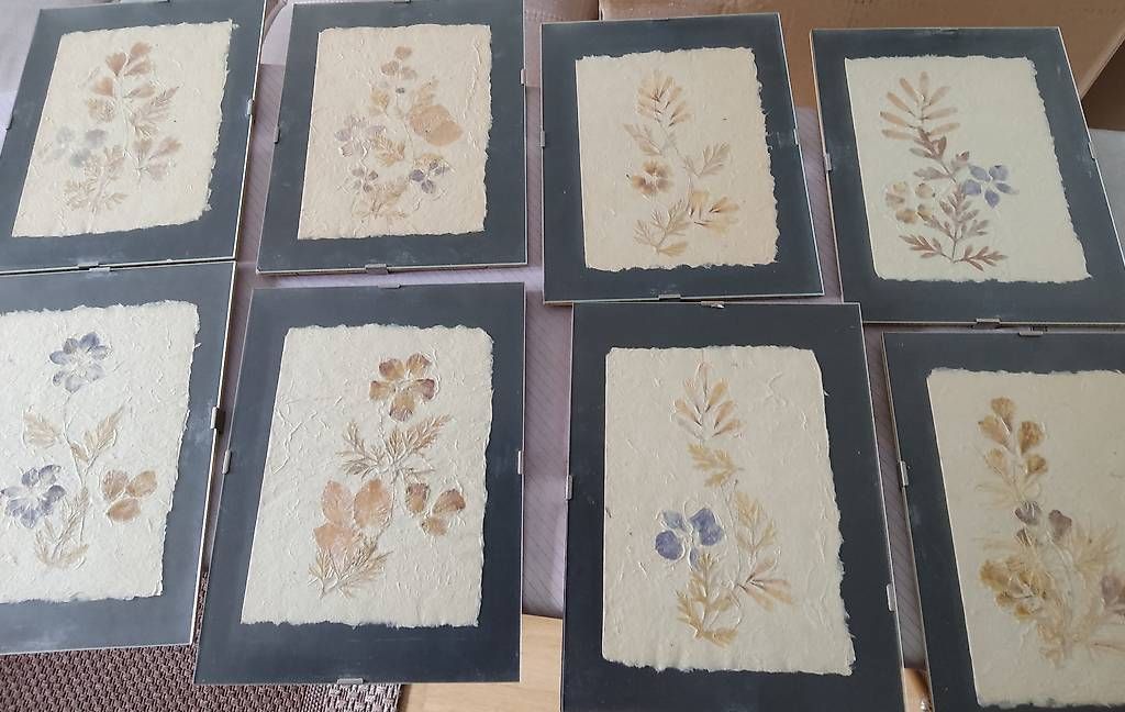 Cornici: Cadres avec fleurs – Usato da Neuchâtel venduto da Scooter51 2