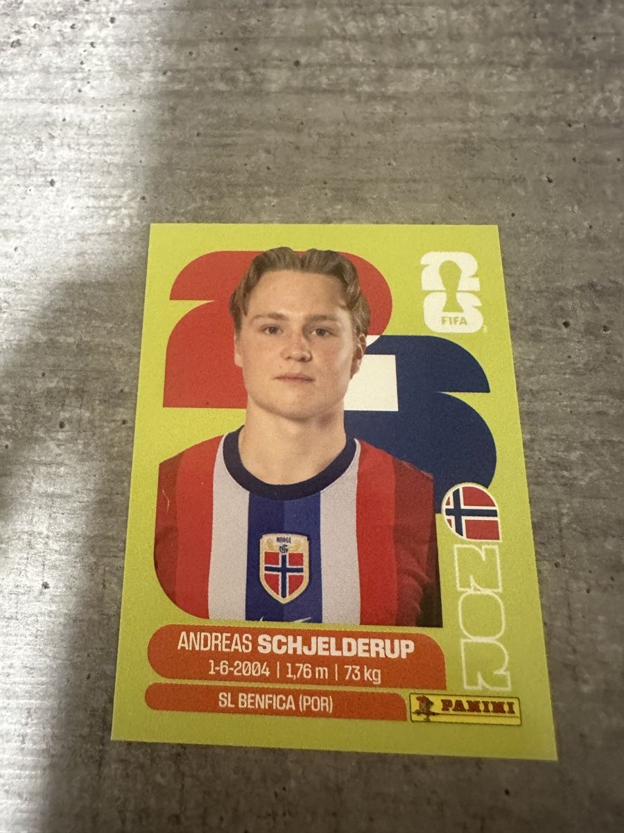 Panini Carte collezionabili: NOR 12 , FIFA WORLD CUP 2026 PANINI  – Nuovo (secondo la descrizione) da Frauenfeld venduto da 1PegPeg1
