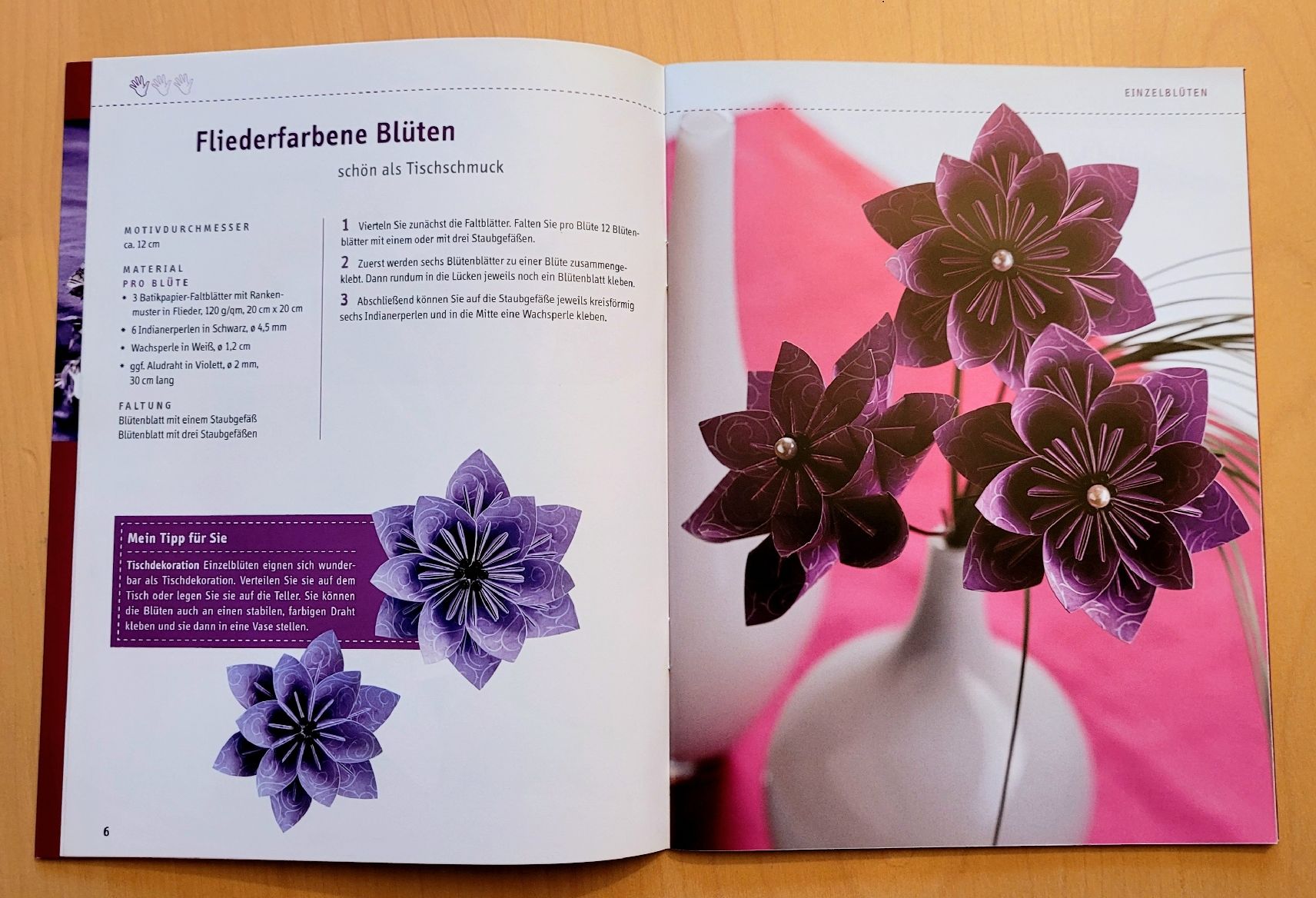 Bücher: Papierfalten Windlichter Fleurogami – Gebraucht aus Madiswil von Laubfleck 5