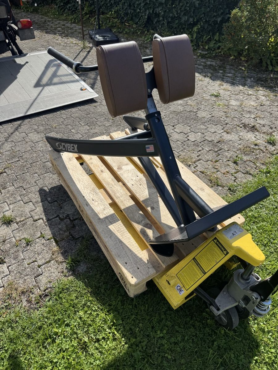 Cybex Hometrainer: Cybex  Back Hyperextension  – Usato da St. Margrethen SG venduto da taf_alb 3
