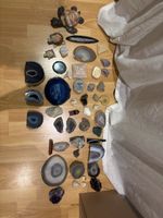 Edelstein Sammlung: Achat, Fossilien & Mehr