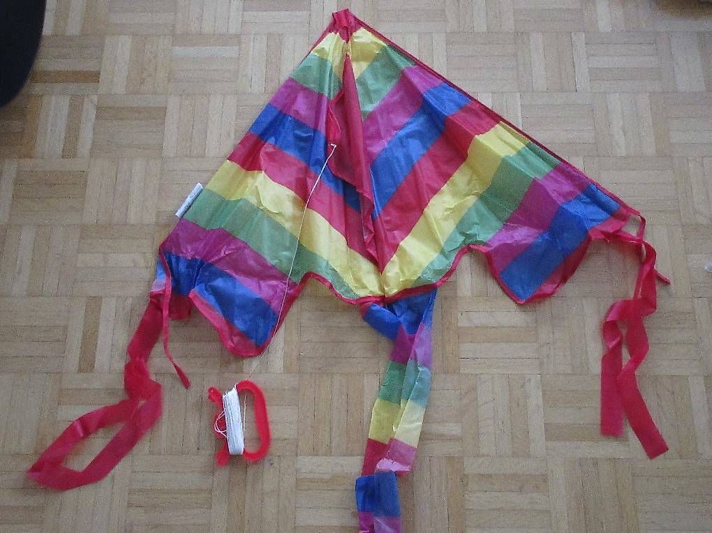 Giocattoli: Neuwertiger Kinderdrachen mit Regenbogen Farben – Usato da Zug venduto da roche72 2