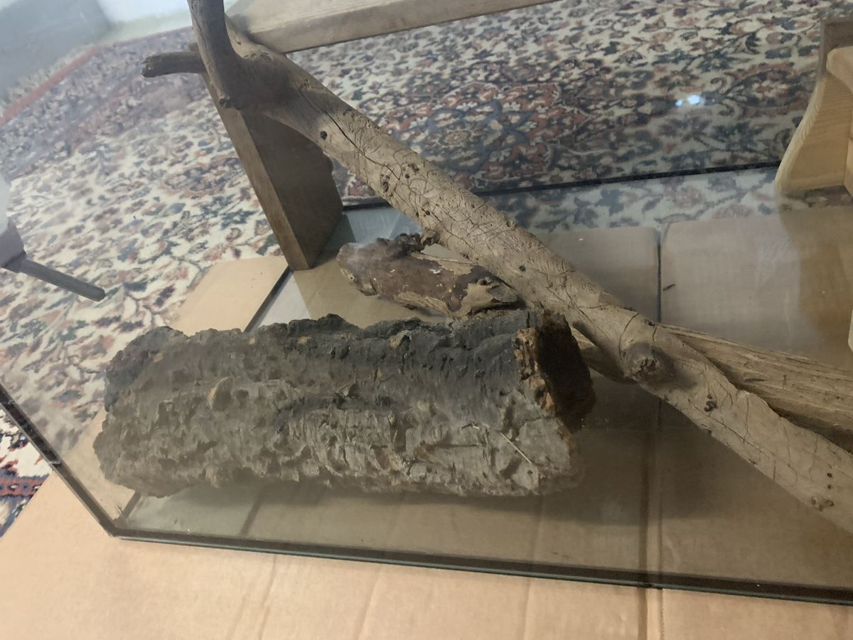 Terrario: Glasterrarium mit Gitterdeckel – Usato da Brugg AG venduto da Simone92 5