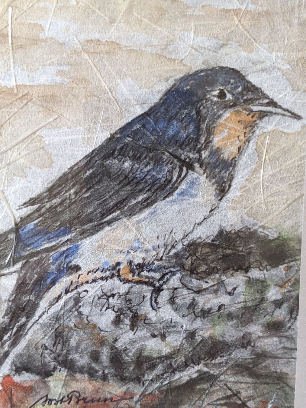 Gemälde: JOST BRUN : Oiseau, aquarelle – Gebraucht aus Petit-Lancy von kine 1