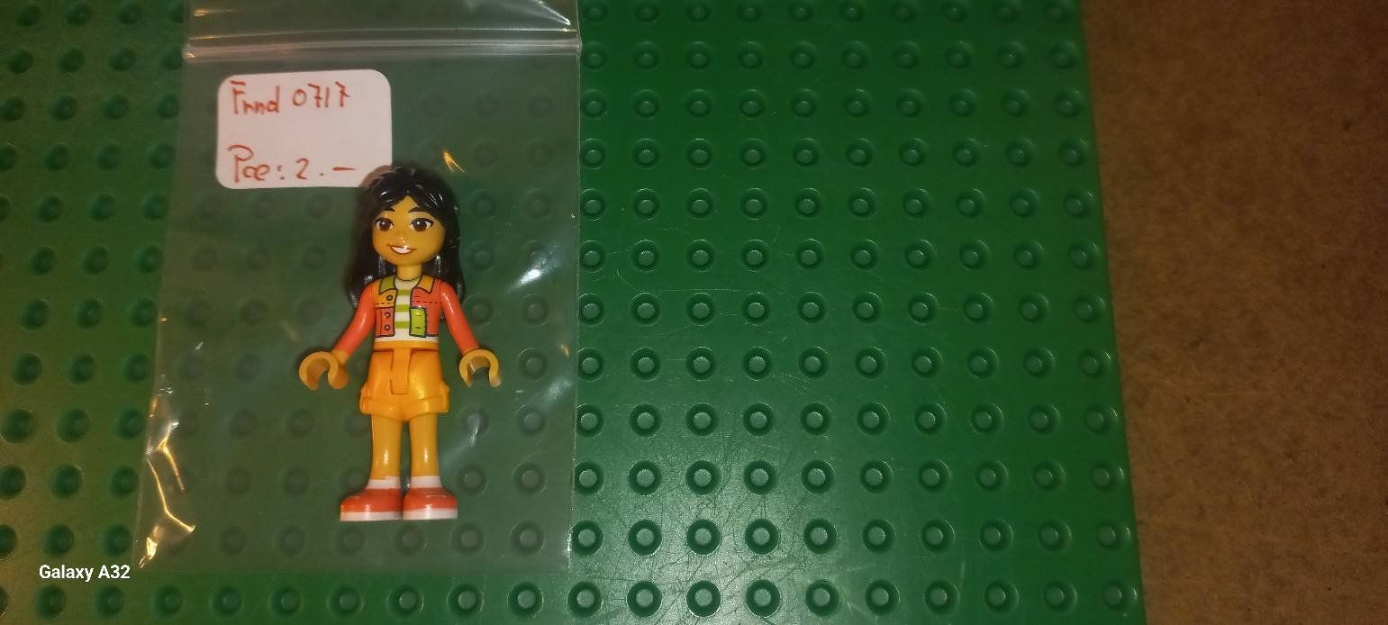 Lego Giocattoli: Mini figurine Lego ( Liann ) – Nuovo (secondo la descrizione) da La Tour de Trême venduto da Startjouet