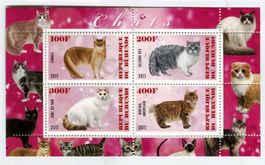 Block "Katzen". Burundi.