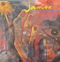 Vinyl-Single James - Born Of Frustration