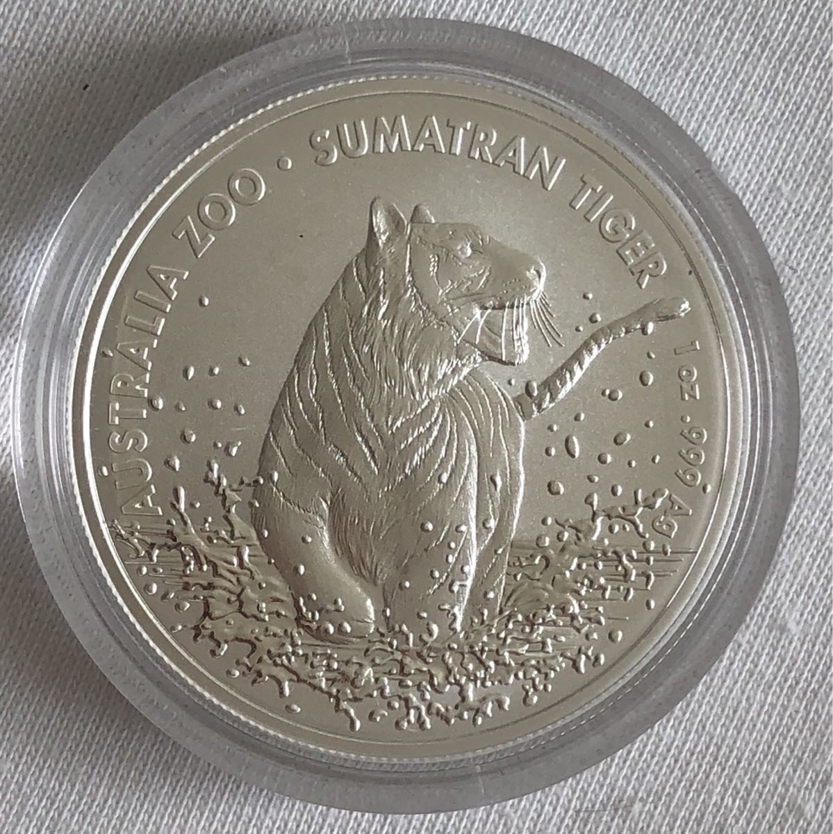 Tutti le monete: Sumatran Tiger Silbermünze 1 oz – Usato da Bern venduto da del_78zc