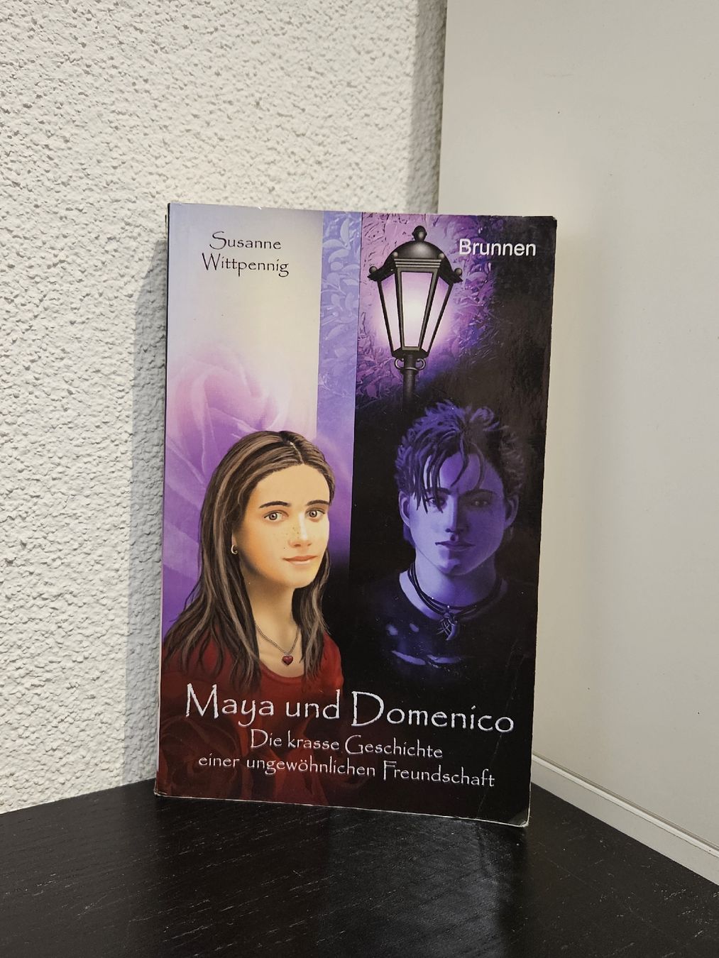 Libri: Bücherreihe Maya und Domenico – Usato da Buttisholz venduto da craftergirl 2