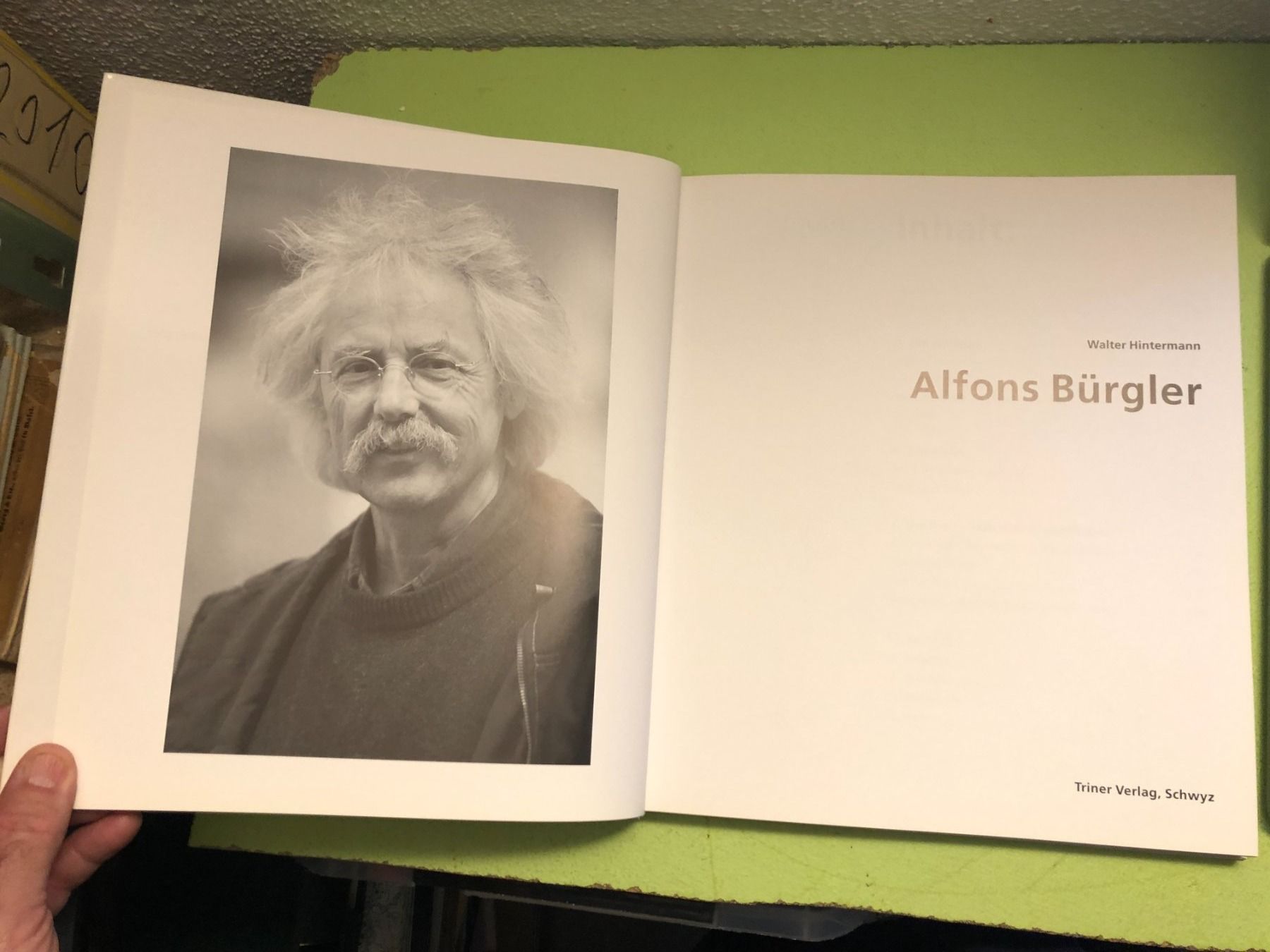 Libri: Walter Hintermann: Alfons Bürgler – Usato da Zürich venduto da allp 1