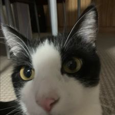 Profile image of audiasdfg