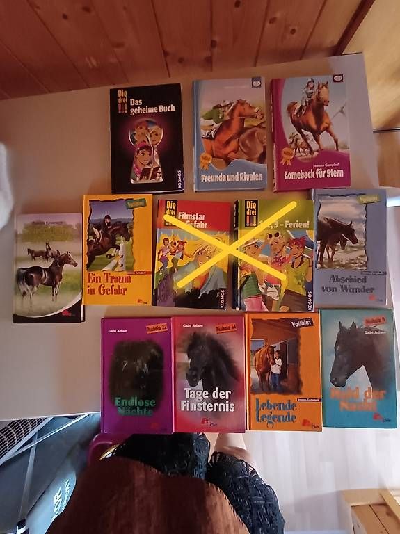 Livres: Diverse Bücher  – D'occasion à Ballwil par Karinjuon 4