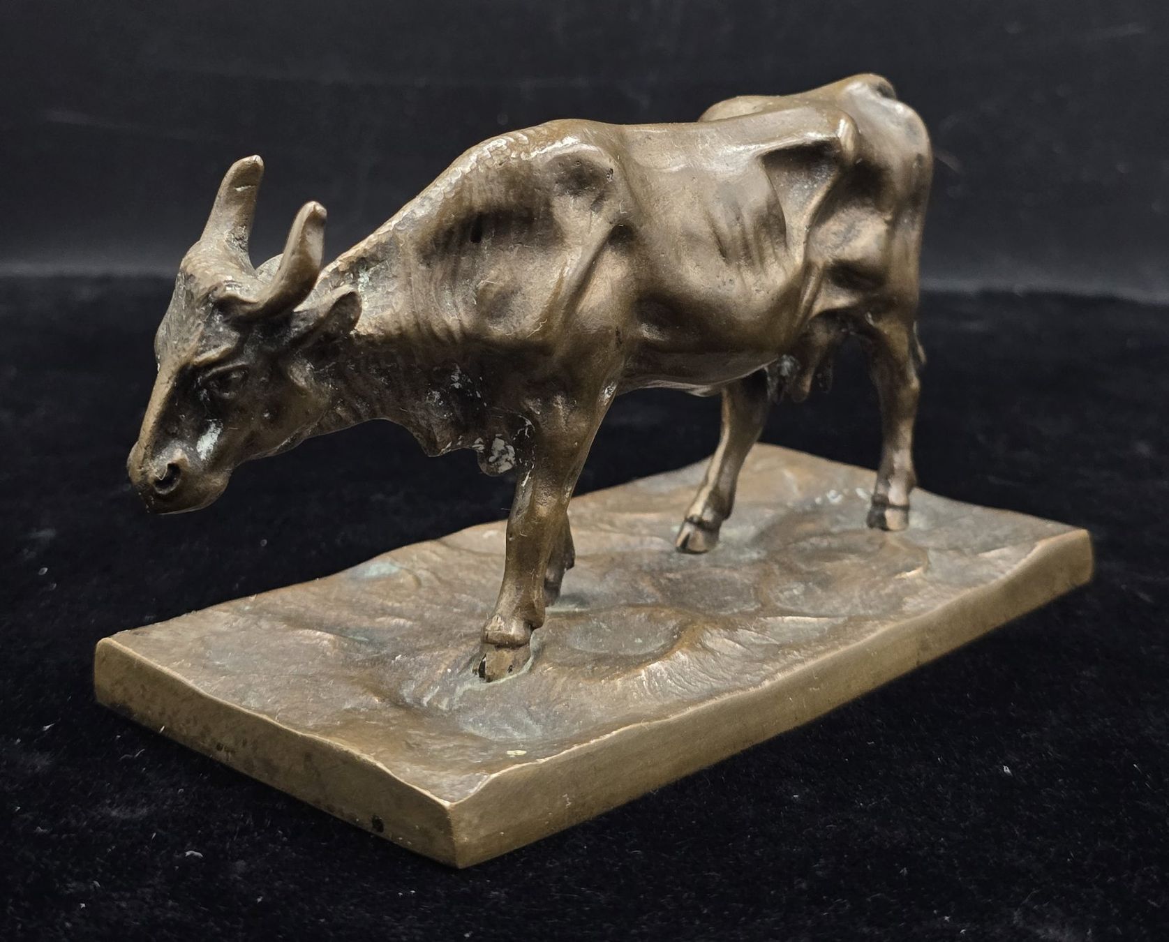 Sculture & Statue: Bronze Skulptur Stier – Usato da Rorschacherberg venduto da snOOpydOg11 3