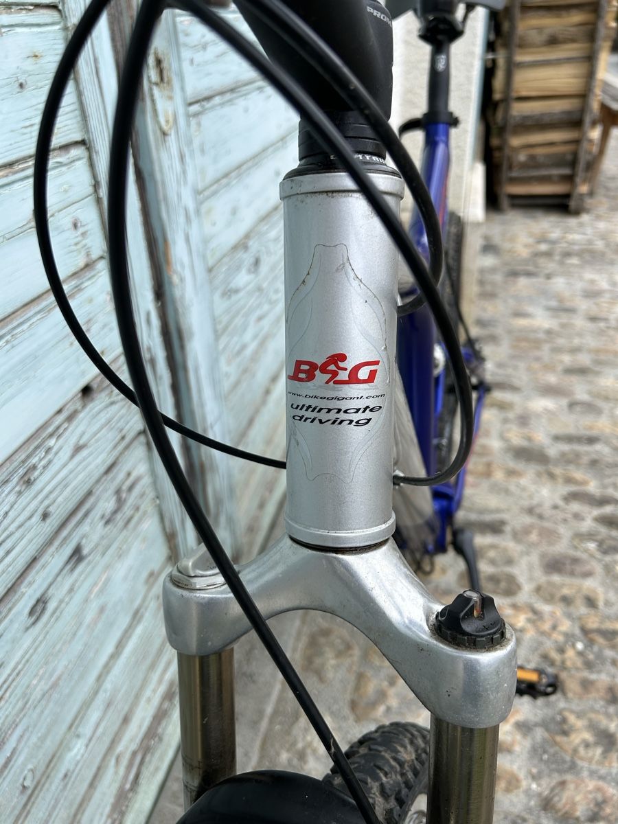 Biciclette: MTB, Mountainbike, MK, Blue Edition, VTT – Usato da Arisdorf venduto da Xylocopa 2