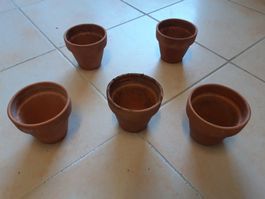 5 Tontöpfe klein Terracotta Ton Töpfe Setzlinge Shabby Boho