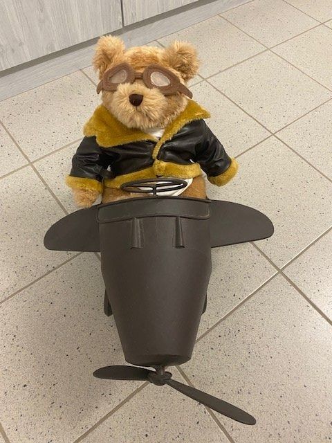 Statuette: TOM THE FLYING TEDDY IS READY FOR TAKE OFF!!! – Nuovo (secondo la descrizione) da Mumpf venduto da PEPsPARADISE 1
