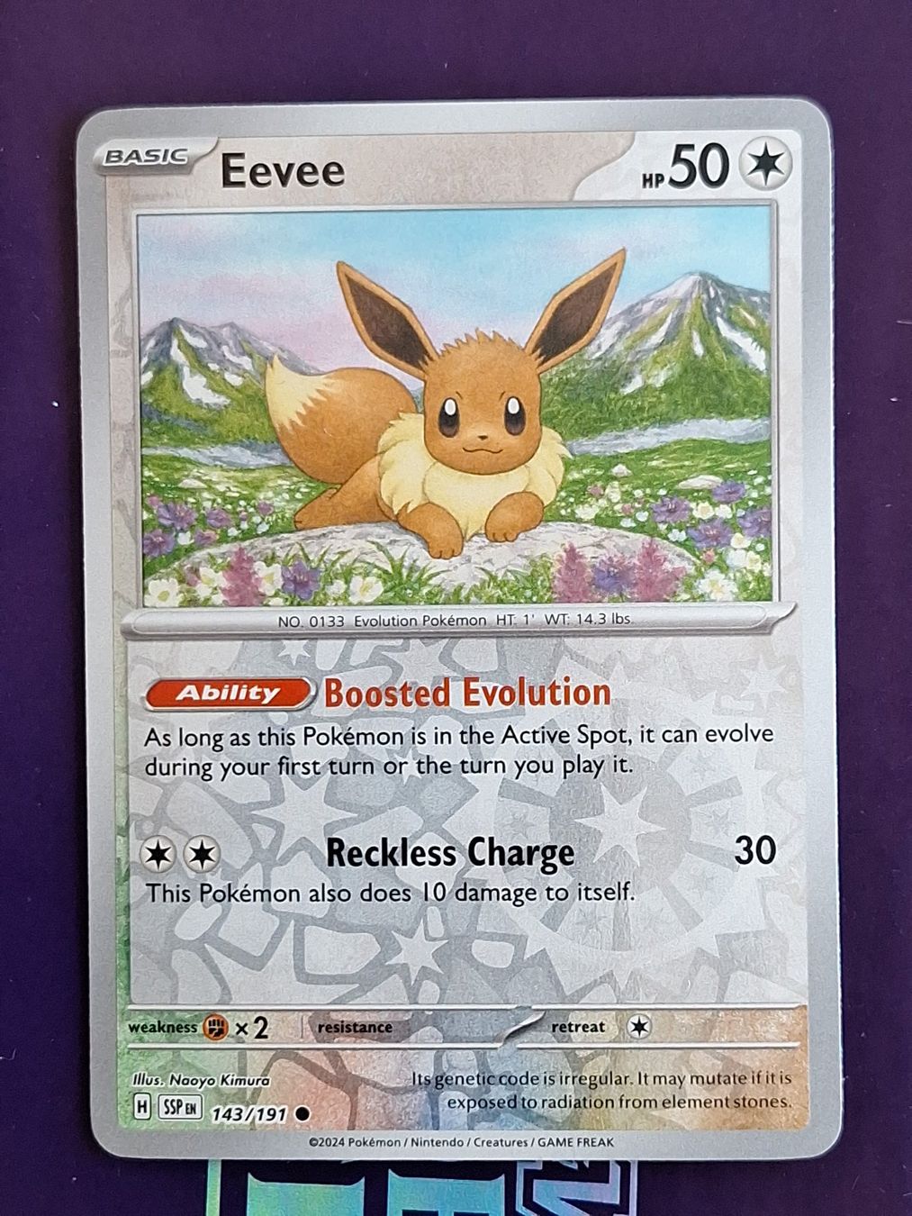 Pokémon Carte collezionabili: Eevee Evoli - Reverse Holo - Pokemon Surging Sparks – Usato da Altstätten SG venduto da GGsGameshop