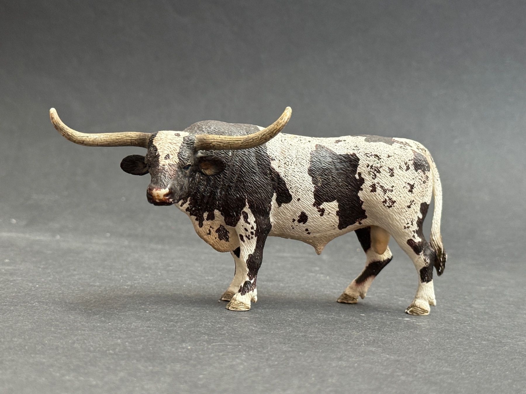 Schleich Statuette: Schleich Texas Longhorn Bulle – Usato da Ennetbaden venduto da mapa05