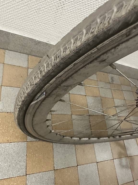 Siech Biciclette: Siech Cycles Singlespeed für Bastler – Usato da Basel venduto da pau_96mv 1
