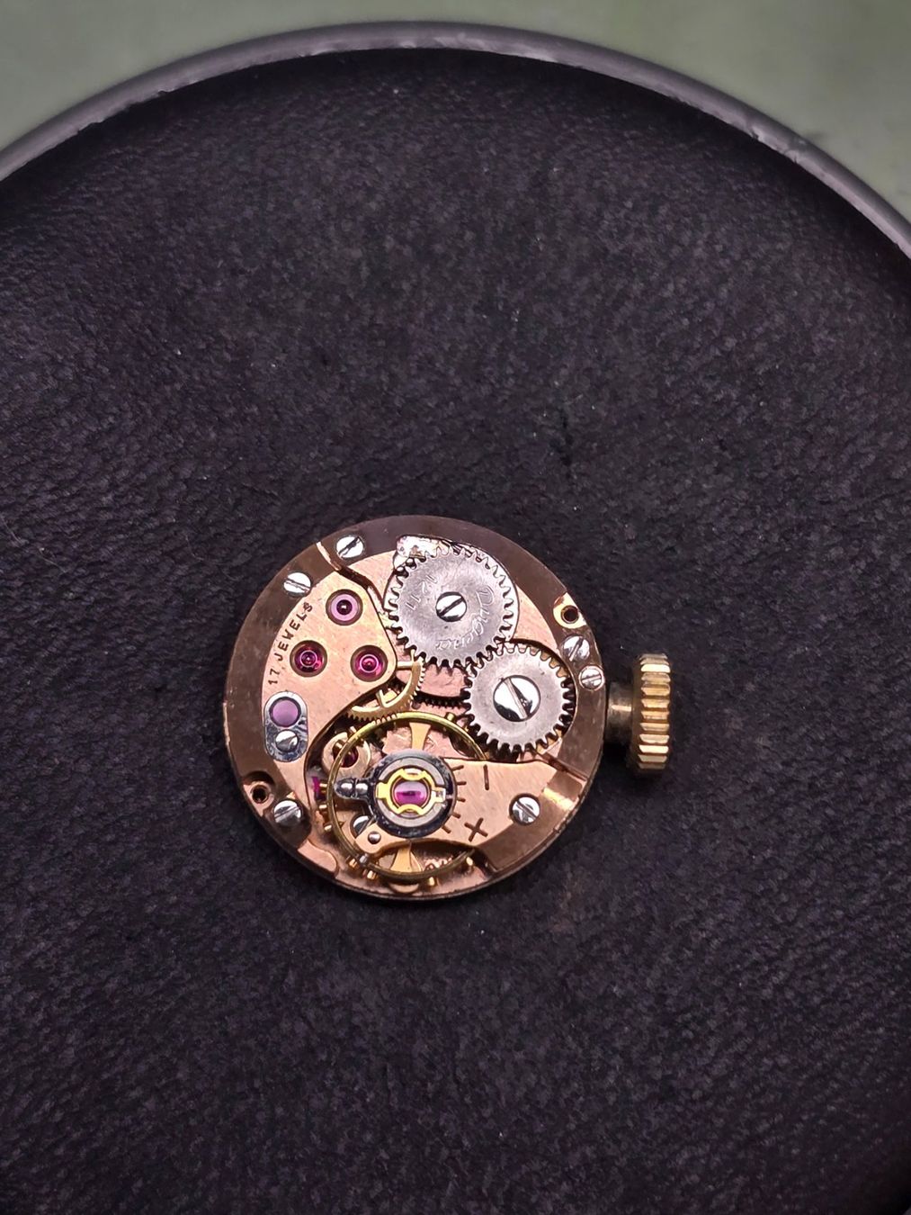 Eta Orologi: Mouvement ETA 2442 – Usato da Tramelan venduto da Nirdan 1