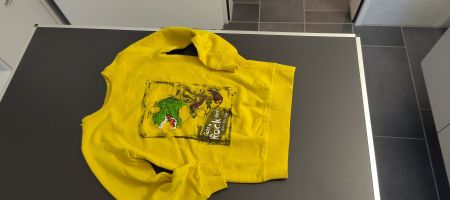 Kinder Sweatshirt Gelb Pullover mit Dinosaurier, Gr. ca. 116