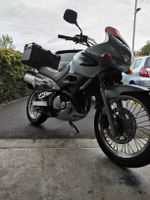 Suzuki Freewind 650
