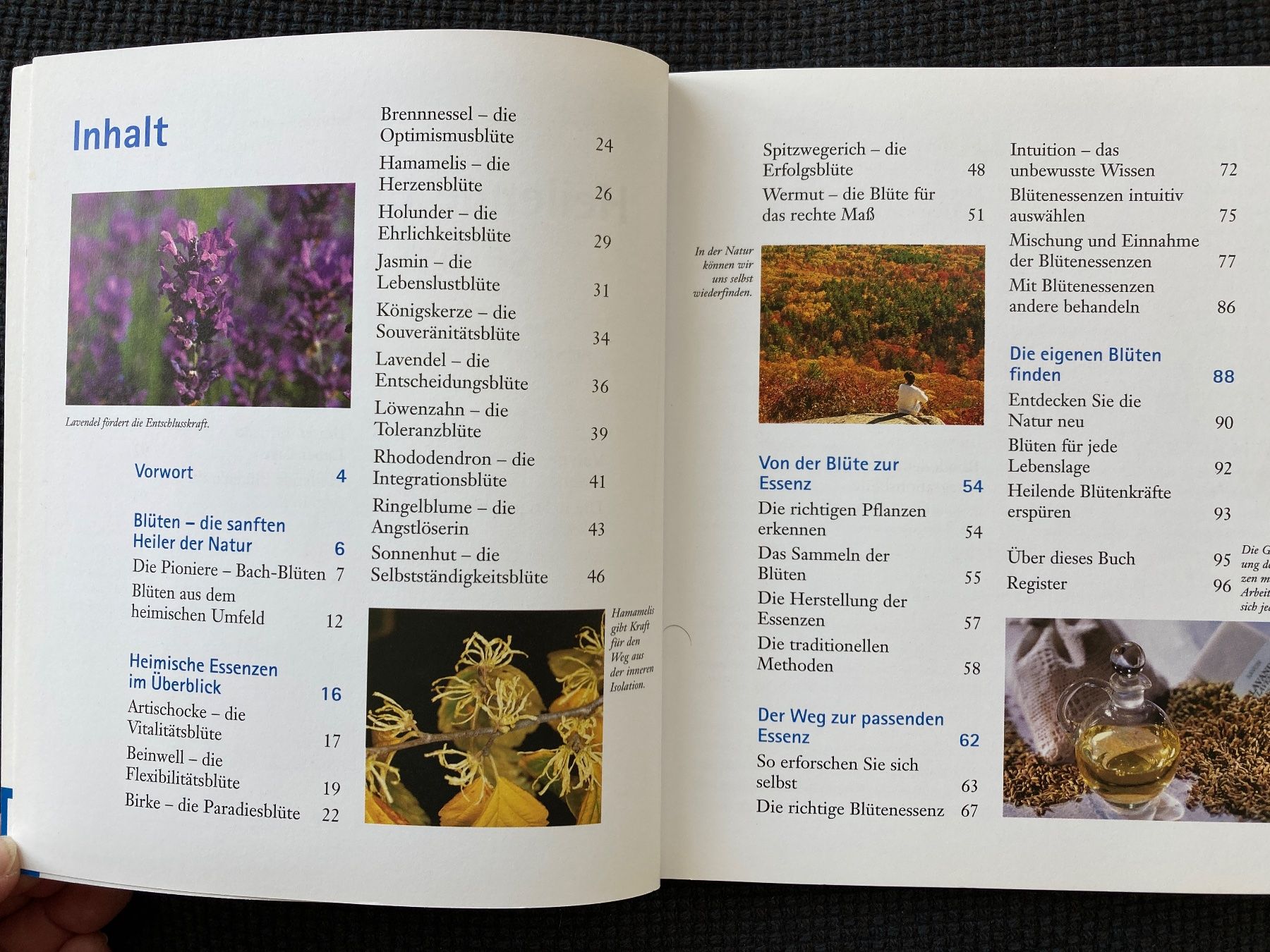 Libri: Heilende Blütenessenzen selbst gemacht – Usato da Baden venduto da Yoyo1 1