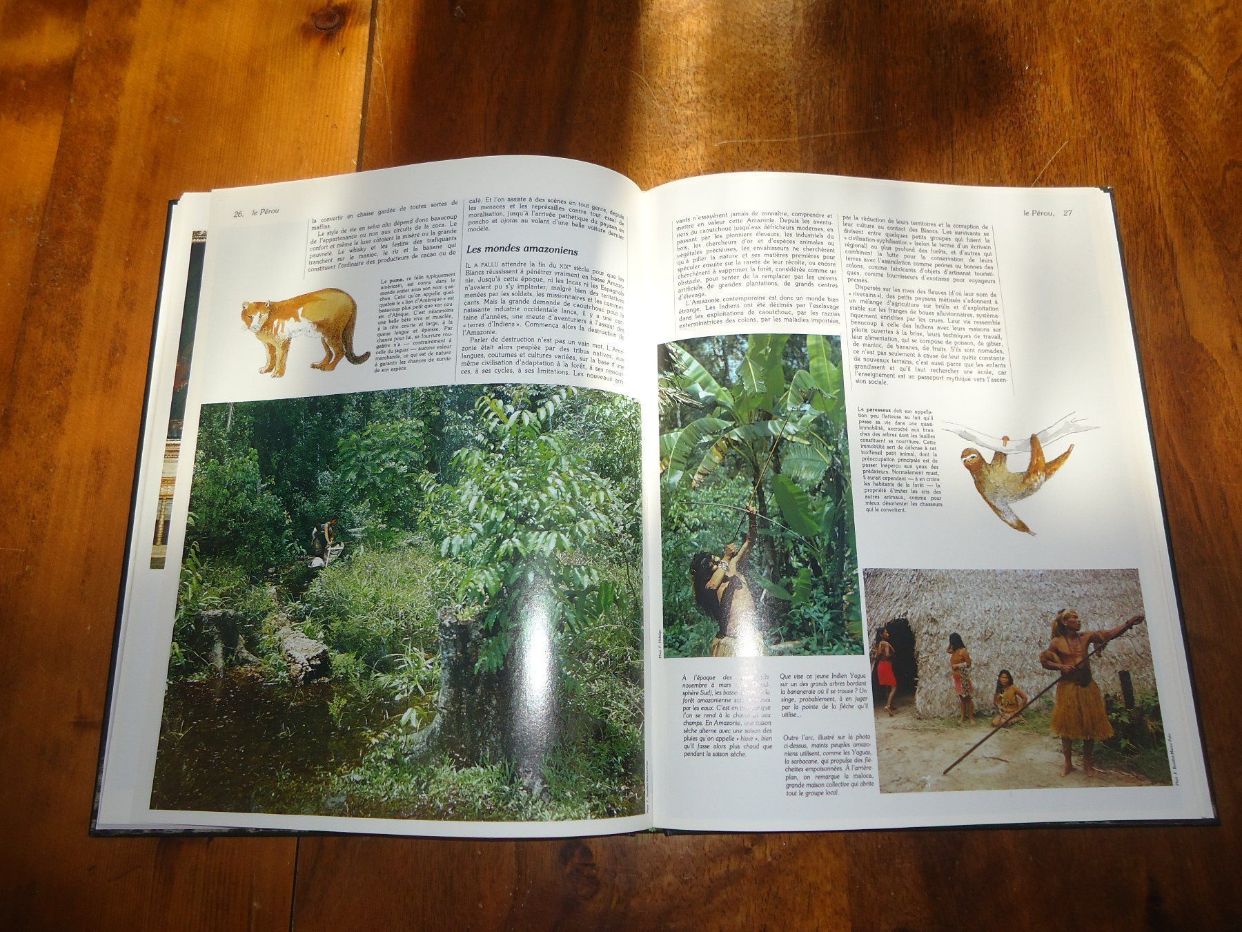 Bücher: Amérique du sud 1 – Gebraucht aus Vessy von bm.par 2