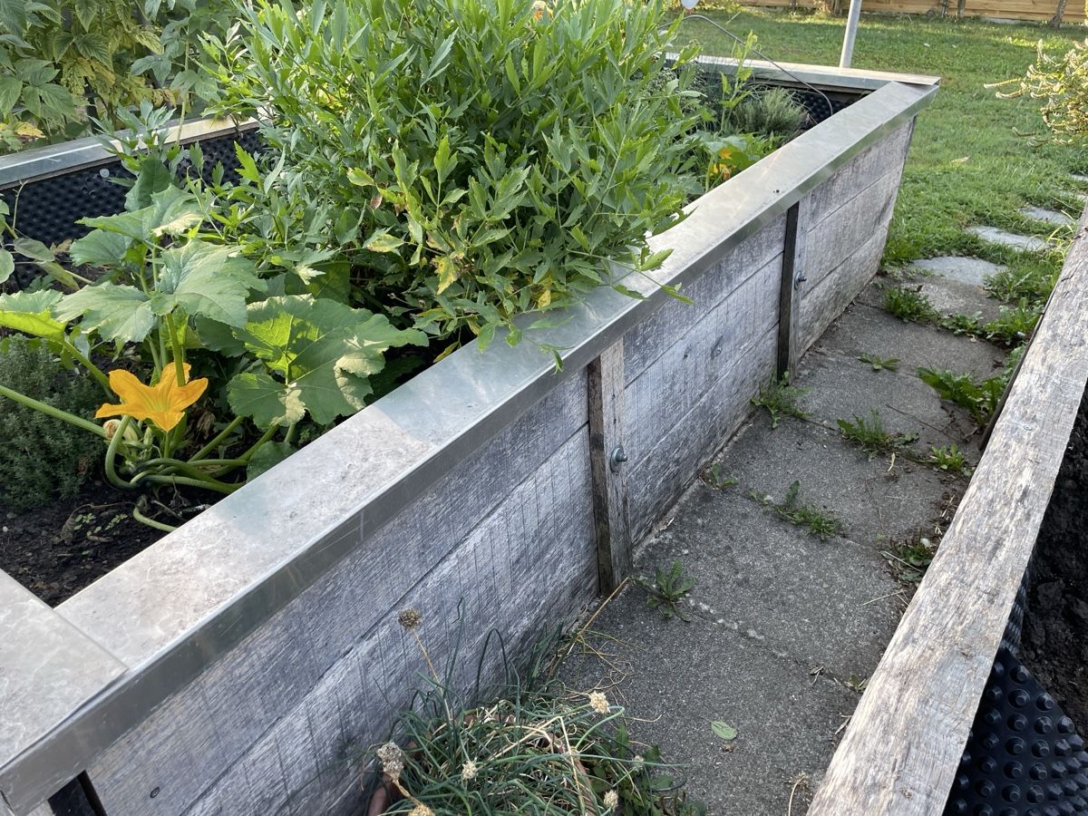 Articoli in legno: Eichenbretter für Hochbeet – Usato da Turbenthal venduto da Bucher61 4