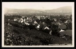Schinznach-Dorf, Blick vom Weinberg auf 