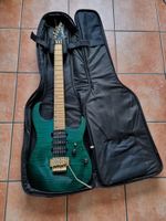 Washburn Gitarre MG - 74