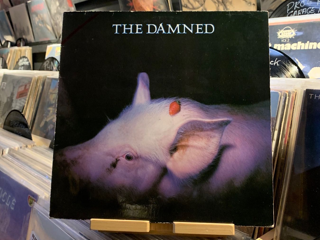 Schallplatten: THE DAMNED - STRAWBERRIES...OG GER 1982...VG+/VG – Gebraucht aus Gals von Diskopatshop
