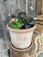 Terracotta Ton Topf