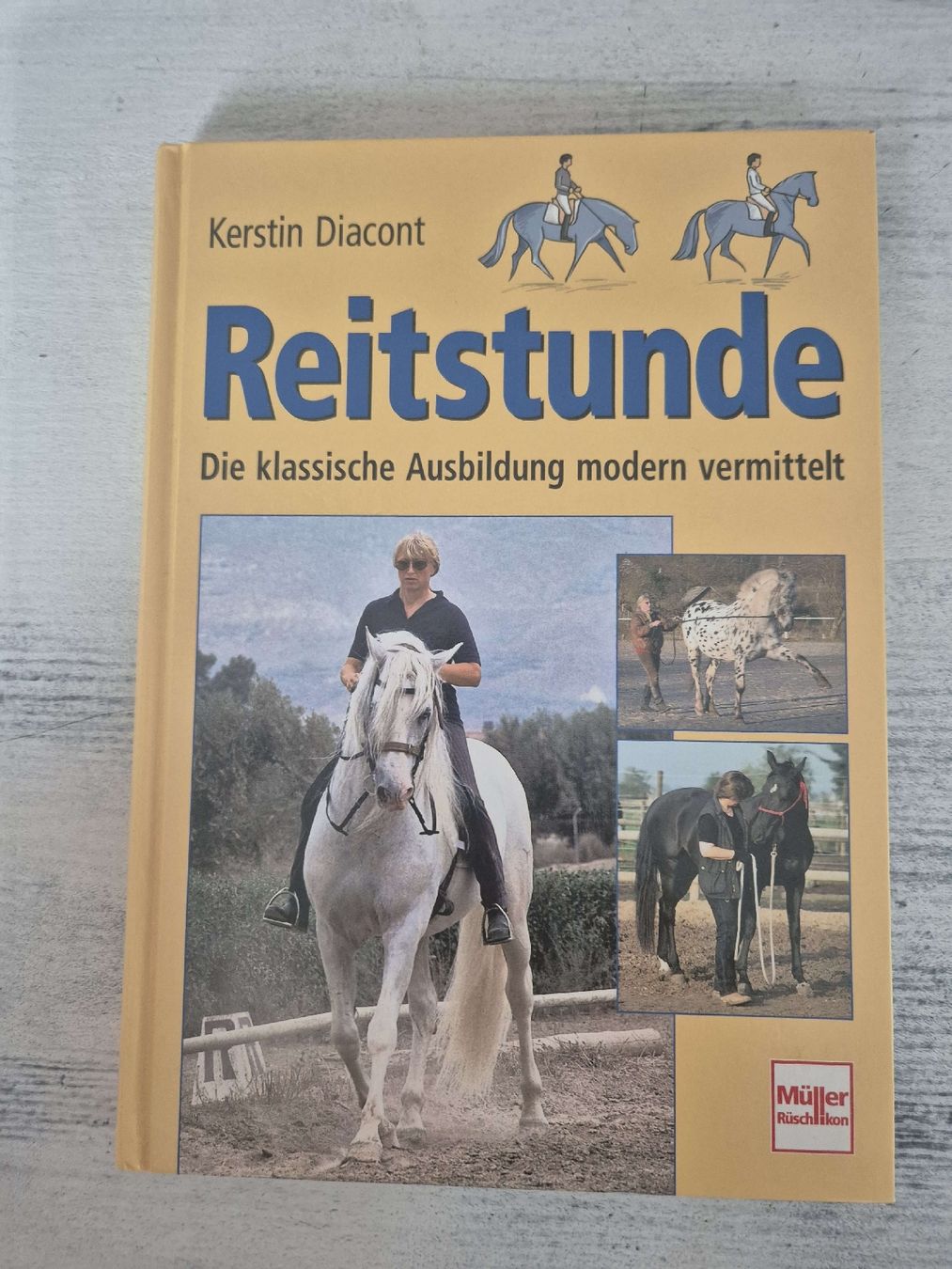 Libri: Reitstunde: Die klassische Ausbildung modern vermittelt – Usato da Tuggen venduto da Santasbag
