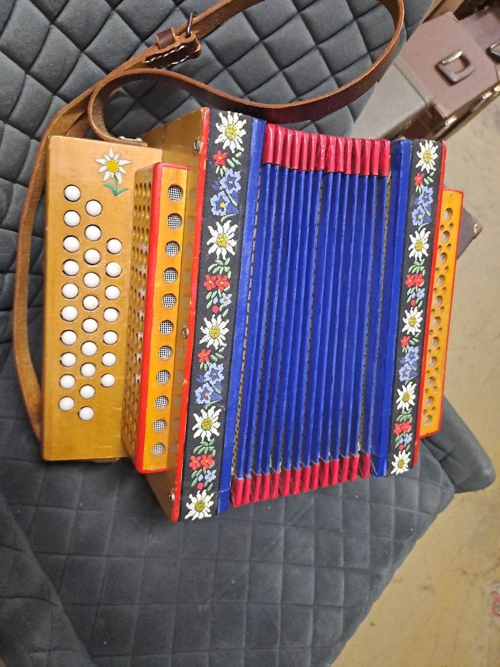 Instruments de musique: schwyzerorgeli ton B – D'occasion à Villeneuve par BibiVintage 8