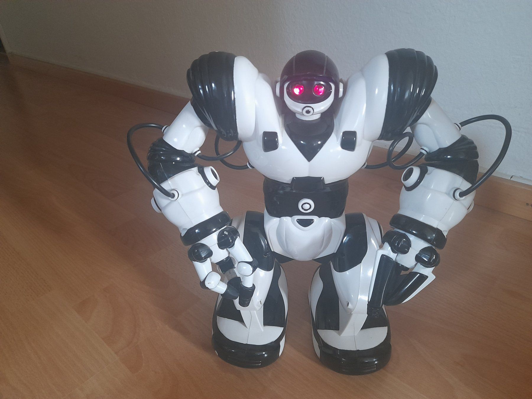 Spielzeuge: Roboter Robosapiens – Gebraucht aus Lustmühle von chevi03