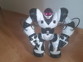 Roboter Robosapiens