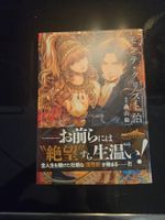 Graf von Monte Christo Manga Japanisch One-Shot