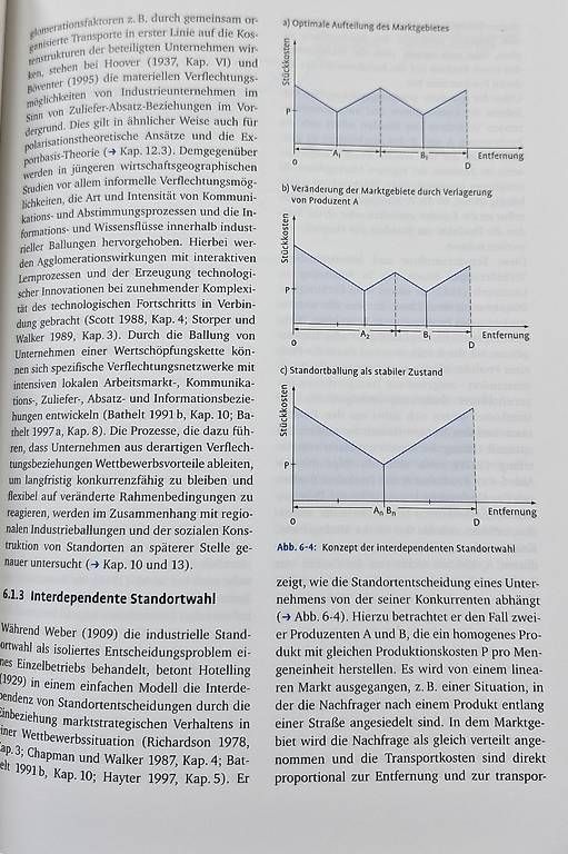 Libri: Wirtschaftsgeographie – Usato da Remetschwil venduto da Redis01 1