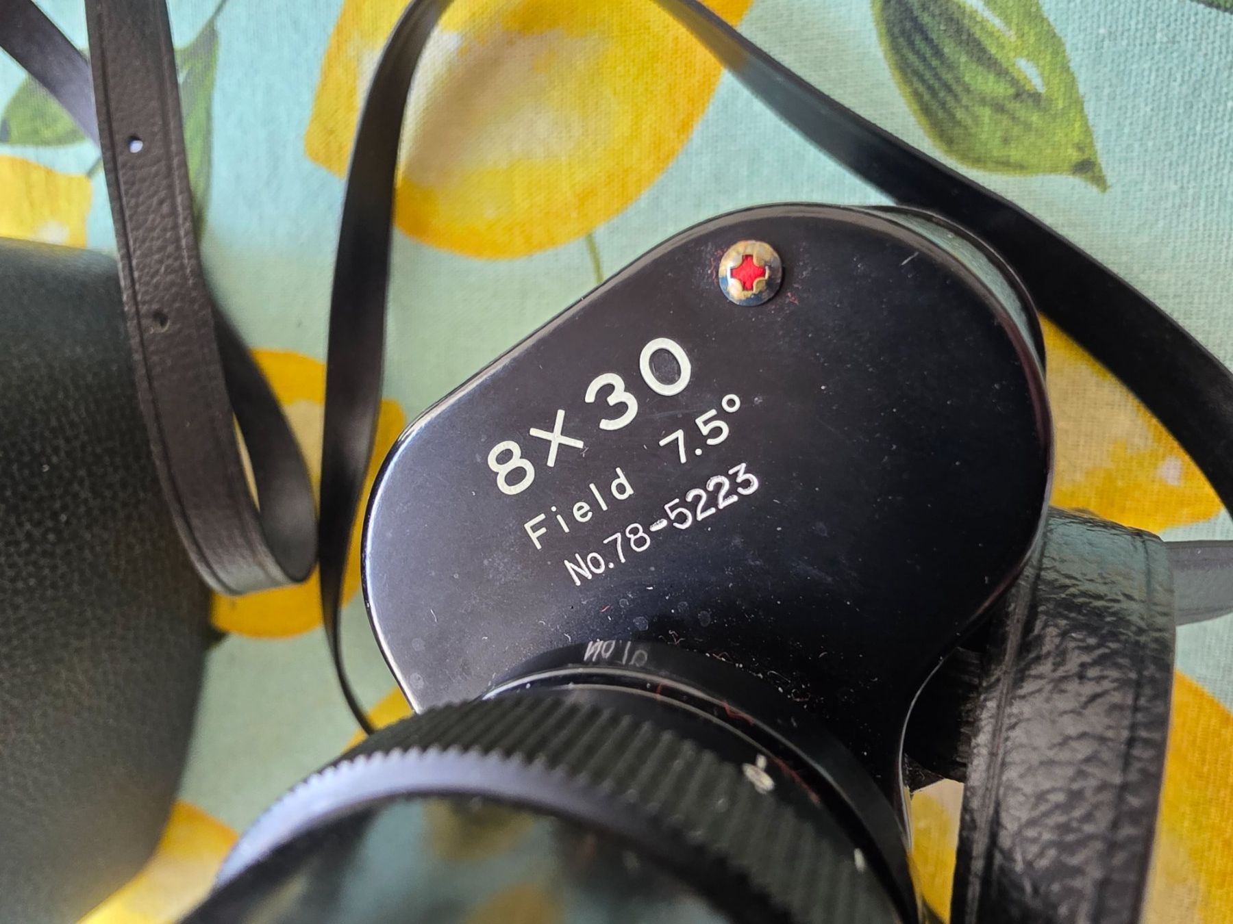Champion Binocoli: Fernglas Champion 8x30 mit Etui – Usato da Winterthur venduto da Marcello66 4