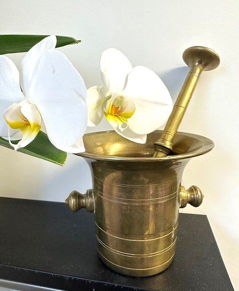 Altro per cucinare: ApoTHeken  BrOnZemöRseR – Usato da Winkel venduto da zeho